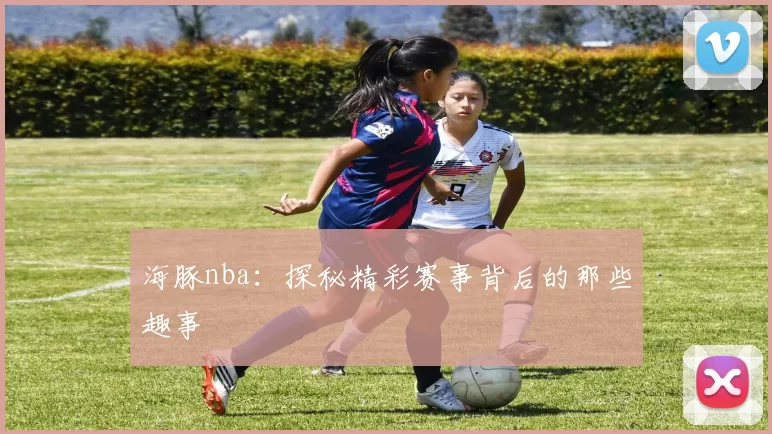 海豚nba：探秘精彩赛事背后的那些趣事