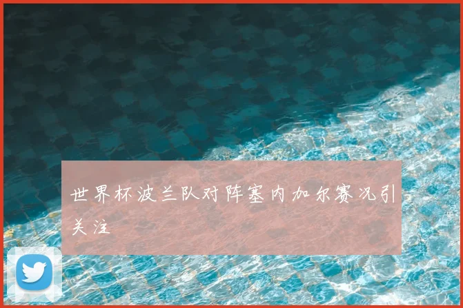 世界杯波兰队对阵塞内加尔赛况引关注