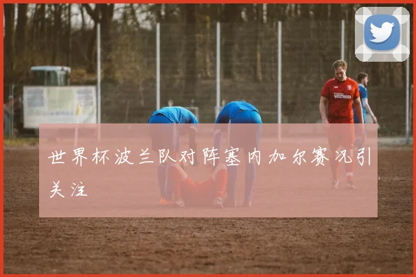 世界杯波兰队对阵塞内加尔赛况引关注